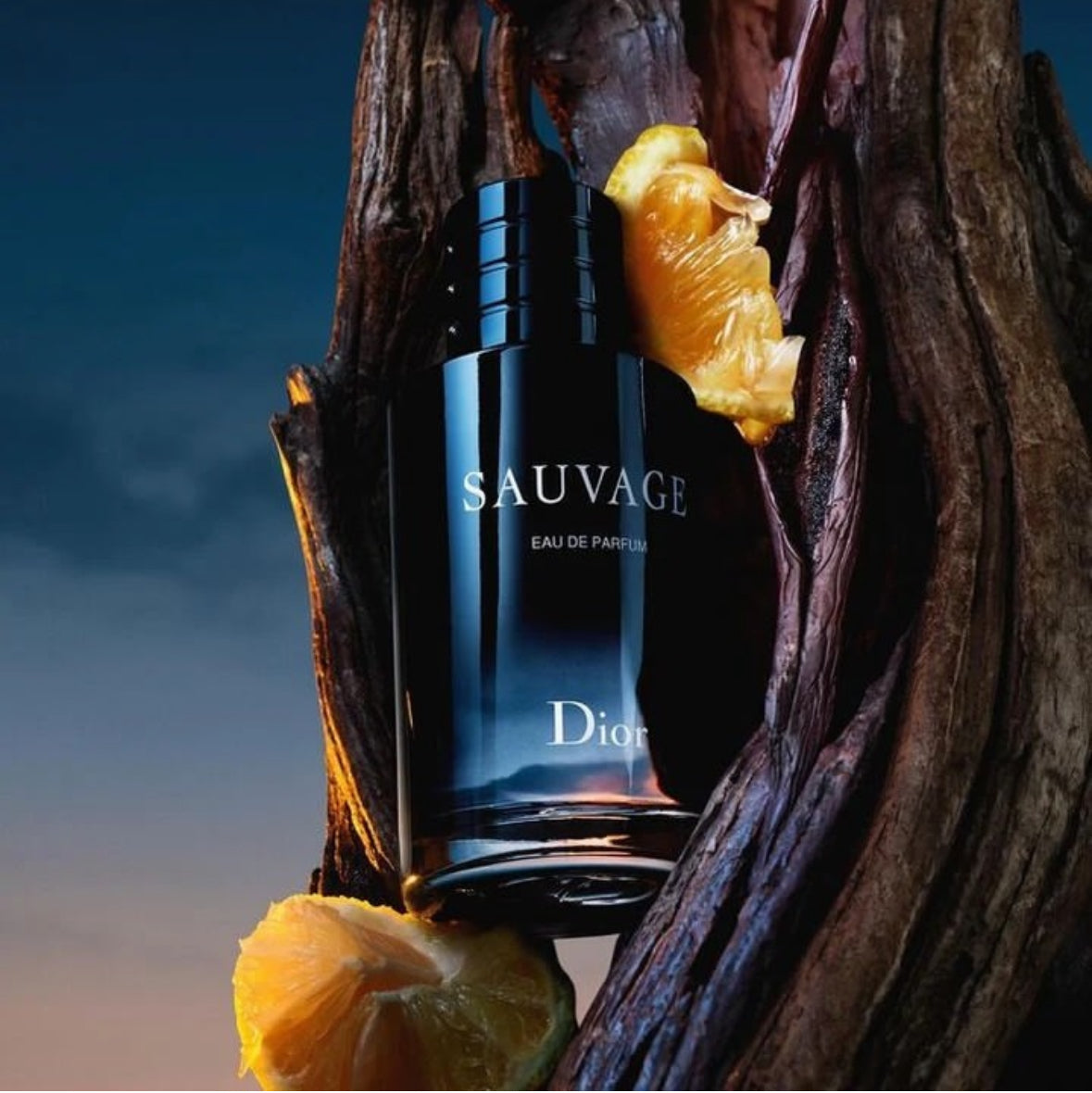 Diorr Sauvage (100ml)