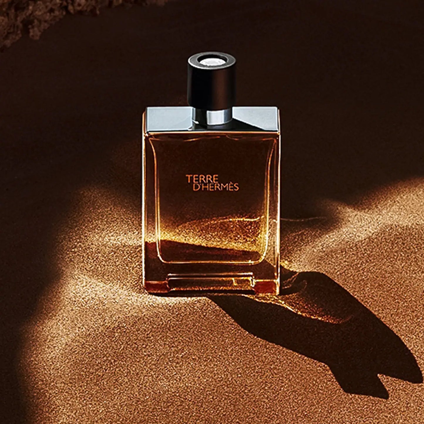 Hermes Terre D'Hermes Eau De Toilette